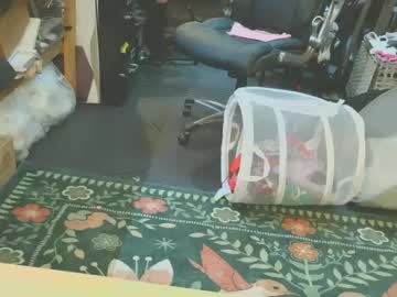 E77inoir Chaturbate stream image from March 20, 2025