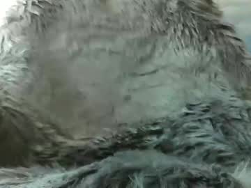 Leckfreund53 Chaturbate stream image from March 21, 2025