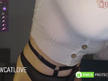 Meowcatlove Chaturbate stream image from March 24, 2025