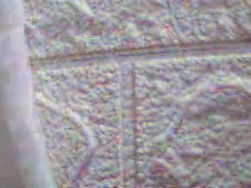 Pirena14 Chaturbate stream image from March 25, 2025