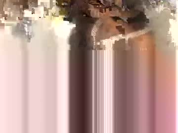 Canadianbrownbear stream image from March 27, 2025