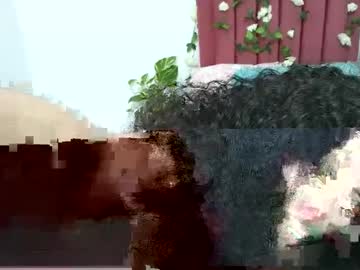 Abby__Flores Chaturbate stream image from April 01, 2025
