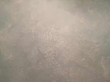 Tinydee555 Chaturbate stream image from April 07, 2025
