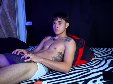 Sebastianjust Chaturbate stream image from April 08, 2025