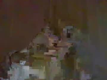 Cat_2019 stream image from April 12, 2025