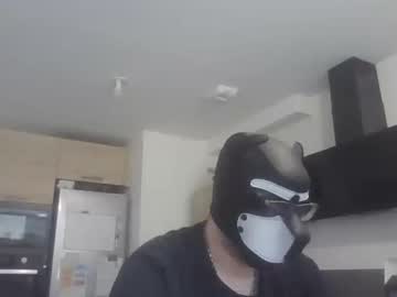 Jackstoun_Puppy Chaturbate stream image from April 17, 2025