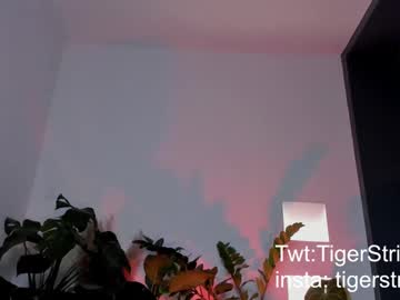 Tigerstripes_ Chaturbate stream image from April 18, 2025