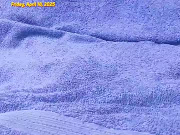 Ornimegalonyx Chaturbate stream image from April 18, 2025