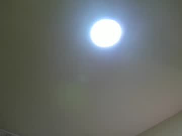Sarasaenz__ Chaturbate stream image from April 21, 2025