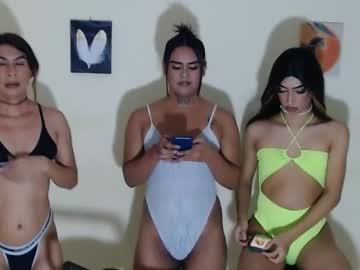 Kya_Bigcock20 Chaturbate stream image from April 22, 2025