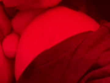Squirtformydaddy Chaturbate stream image from April 24, 2025