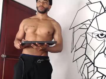 Troy_Lee1 Chaturbate stream image from May 01, 2025