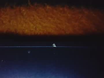 Brepierre Chaturbate stream image from May 02, 2025