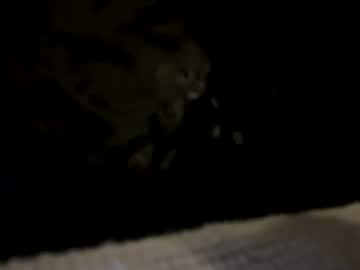 Creampy_Bottom Chaturbate stream image from May 03, 2025