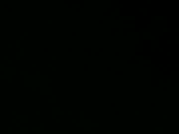 Baybeegerrl Chaturbate stream image from May 11, 2025