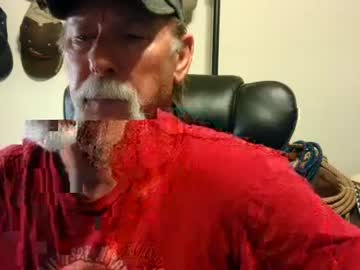 Txlobo60 Chaturbate stream image from May 13, 2025