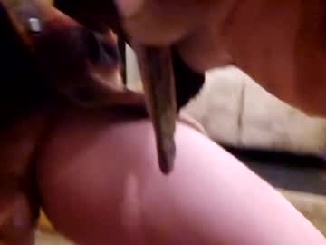 Joshnewman540 Chaturbate stream image from May 14, 2025