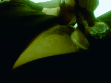 Toesex4fun Chaturbate stream image from May 15, 2025