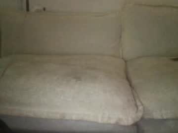 Xxampelosxx Chaturbate stream image from May 20, 2025