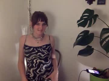 Transdaisy Chaturbate stream image from May 23, 2025