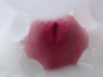 Fuckingyourassdeep Chaturbate stream image from May 25, 2025