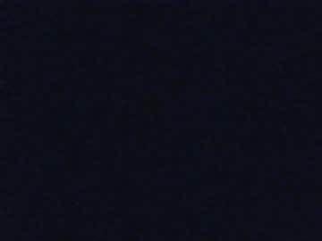 Lunee_Exp33 stream image from May 25, 2025