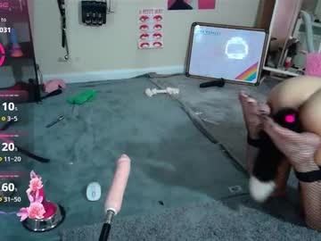 Droolybambi Chaturbate stream image from May 26, 2025