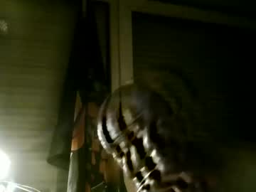 Mcprovo6 Chaturbate stream image from June 01, 2025