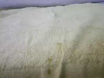 Silverfox676552 Chaturbate stream image from June 01, 2025