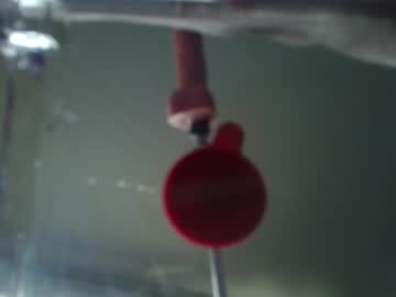 Insatiablecpl333 Chaturbate stream image from June 04, 2025