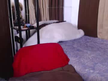 Misstransphilippines Chaturbate stream image from June 04, 2025
