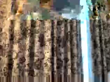 Redleader995 Chaturbate stream image from June 05, 2025