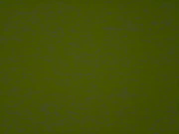 Joel69_19cm Chaturbate stream image from June 08, 2025