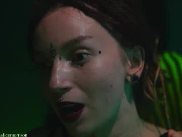 _Alicemorrison_ Chaturbate stream image from June 08, 2025