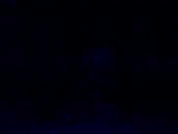 Calibearlosangeles Chaturbate stream image from June 11, 2025