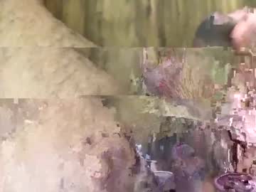 Mendezjesus1215 Chaturbate stream image from June 13, 2025