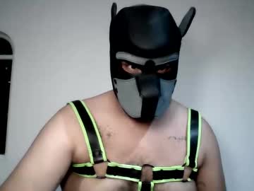 Mrmexpup Chaturbate stream image from June 19, 2025