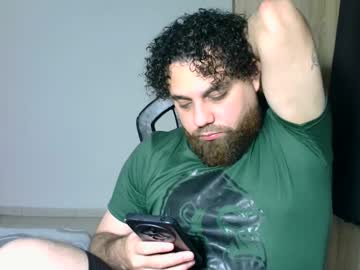 Beardedbear01 Chaturbate stream image from June 21, 2025