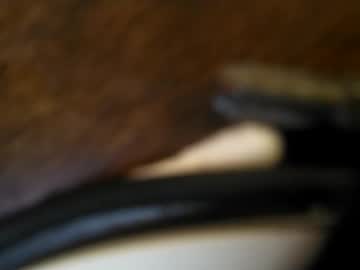Boredaf6678 Chaturbate stream image from June 21, 2025