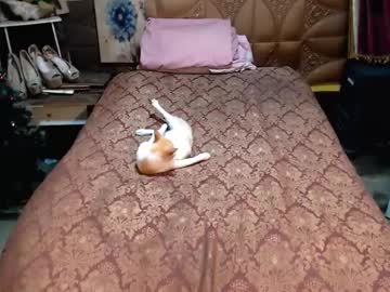 Angeldark_Satisfactionxxx Chaturbate stream image from June 21, 2025