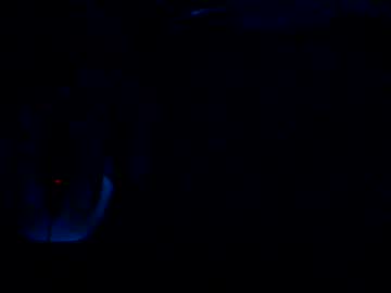 Immerspitz1977 Chaturbate stream image from June 21, 2025