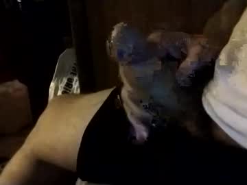 Redfred1969 Chaturbate stream image from June 21, 2025