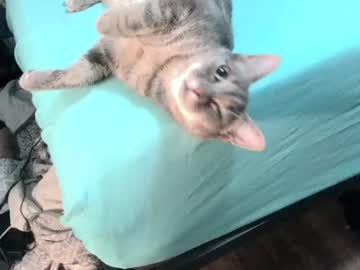 Thebreefontaine Chaturbate stream image from June 22, 2025