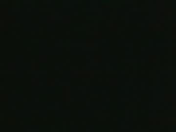 Whitehead_Lion Chaturbate stream image from June 23, 2025