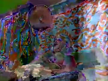 Joelcojones Chaturbate stream image from June 24, 2025