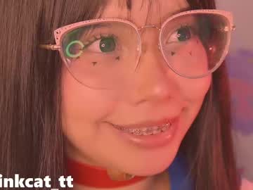Piinkcat Chaturbate stream image from June 30, 2025