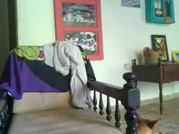 Vlogcafe Chaturbate stream image from June 30, 2025