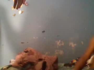 Bts2400 Chaturbate stream image from July 02, 2025