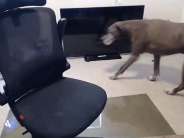Subryan03 Chaturbate stream image from July 02, 2025