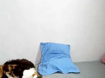 Marazul_Wc Chaturbate stream image from July 03, 2025